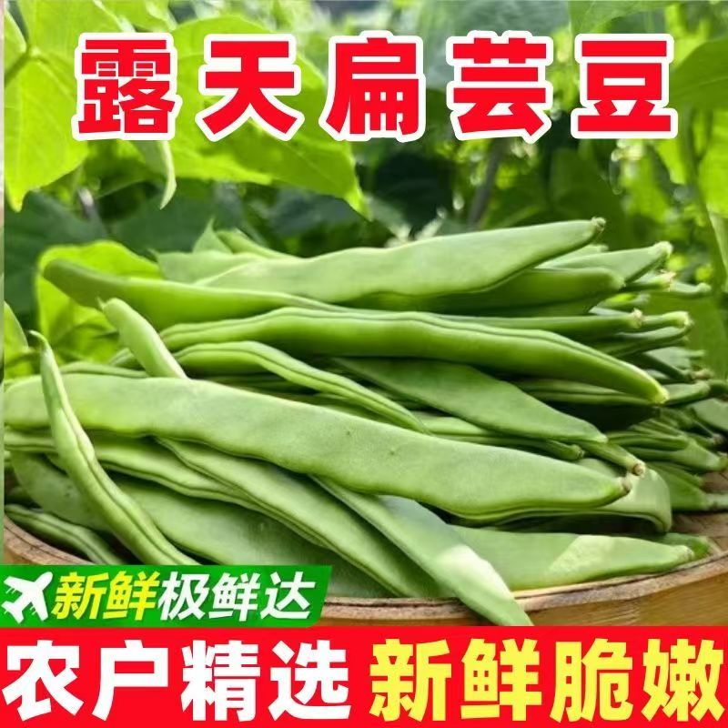 【加冰发】云南扁豆芸豆刀豆农家种植扁豆芸豆豆类新鲜蔬菜