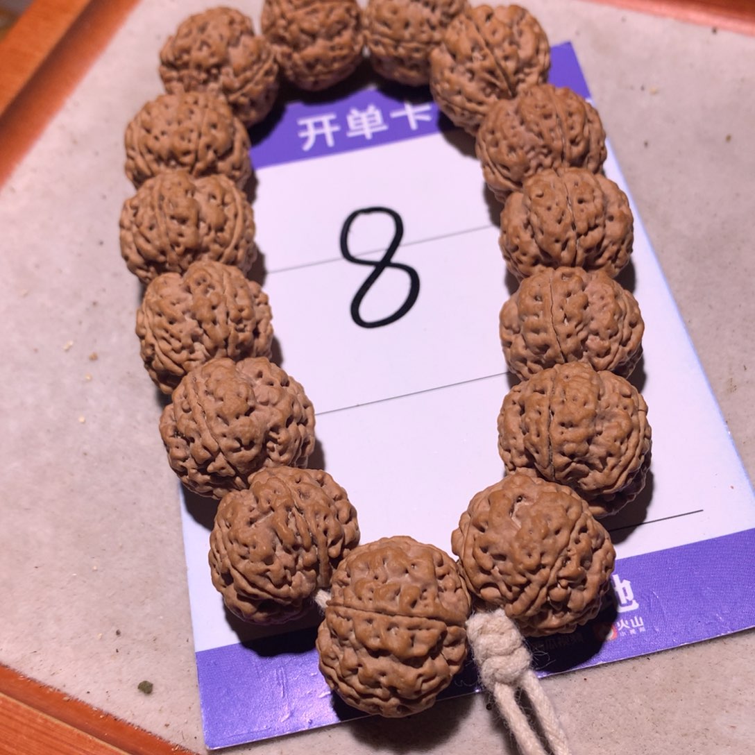 21尺寸原皮原色梅花双龙大金刚菩提