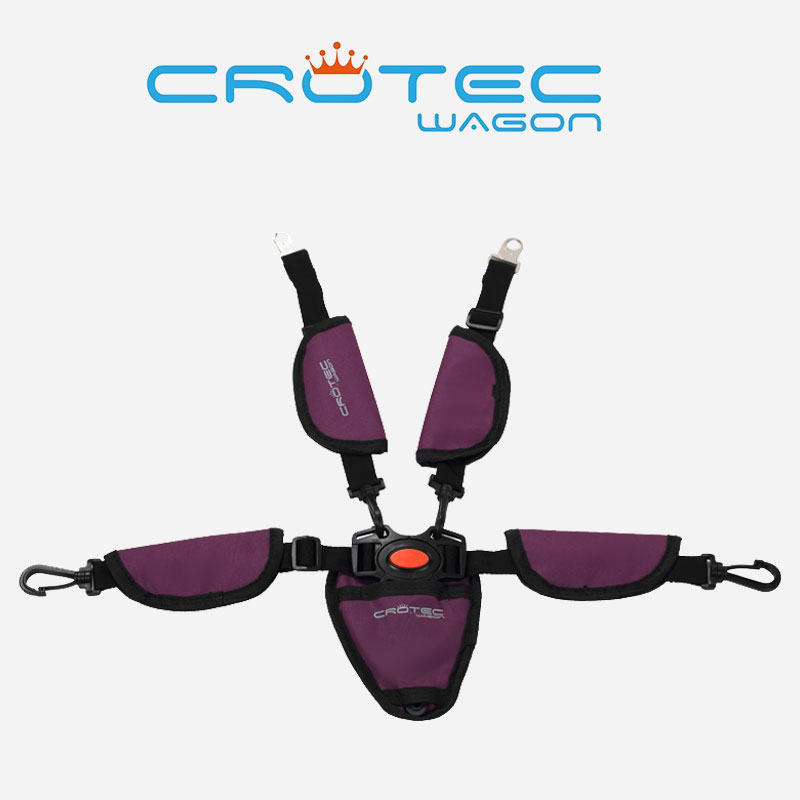 （CT6 PLUS车型专用) 冠艺儿童车营地车五点式安全带