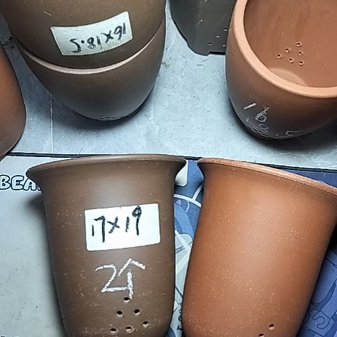 红泥紫泥小金钟两个花盆