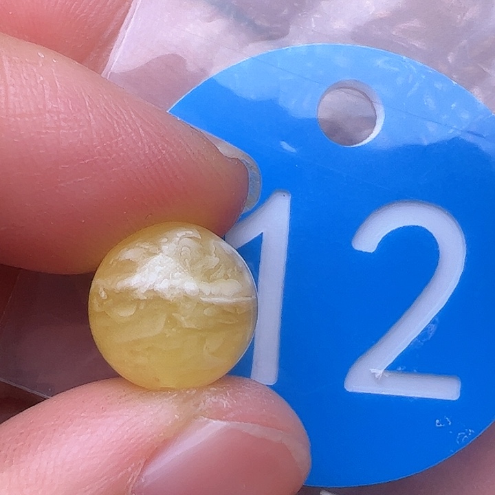 蜜蜡裸石未镶嵌花粉11m m