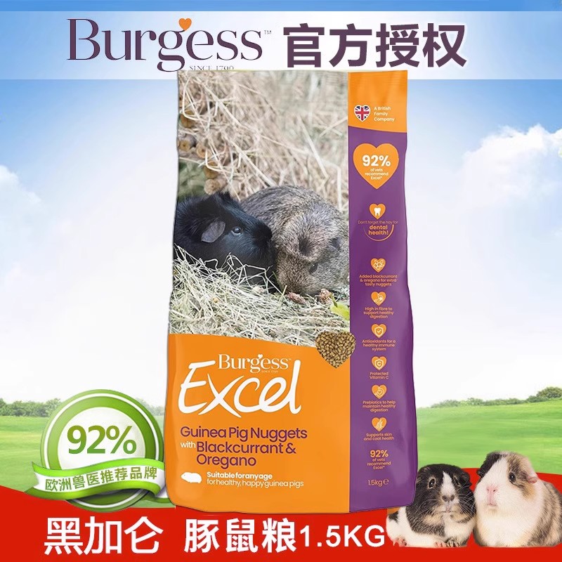 英国Burgess布格斯高纤维黑加仑牛至豚鼠粮荷兰猪宠物饲料主粮