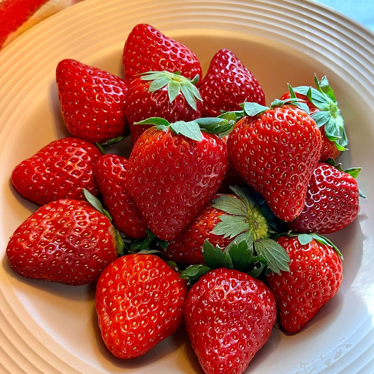 丹东九九草莓（奶香）安徽省