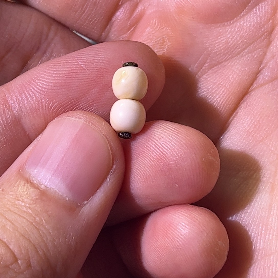 七***年琥珀未镶嵌珠宝奇石4