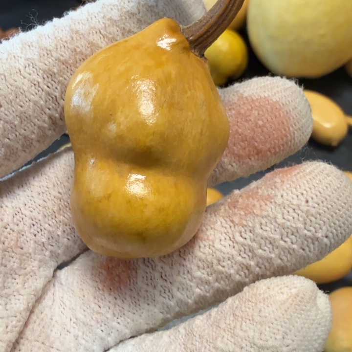 ᥫ***u6666666666666666666