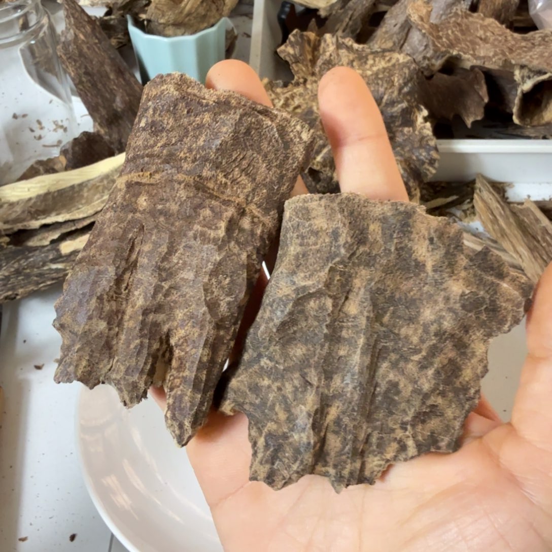 沉香碎屑沉香海南霸王岭15克铁头