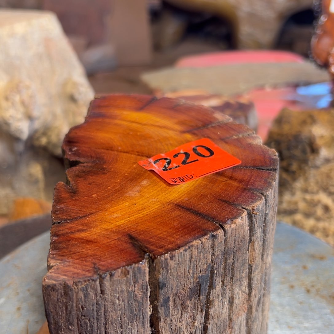 大果紫檀（缅甸花梨）