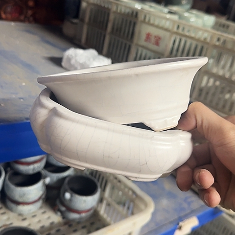 ···2个处理······