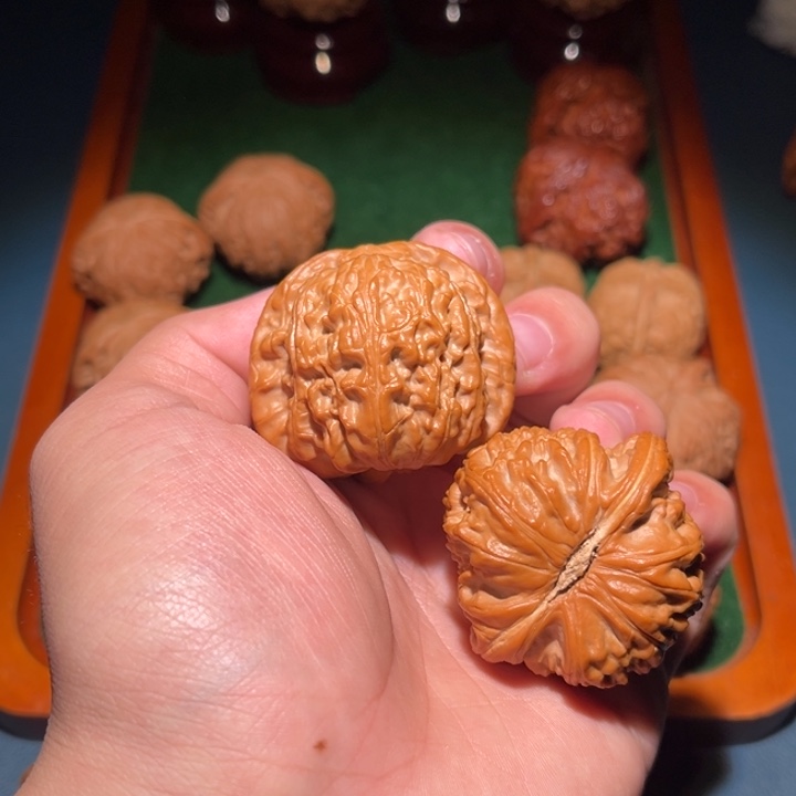 F***y42全品白狮子核桃核桃