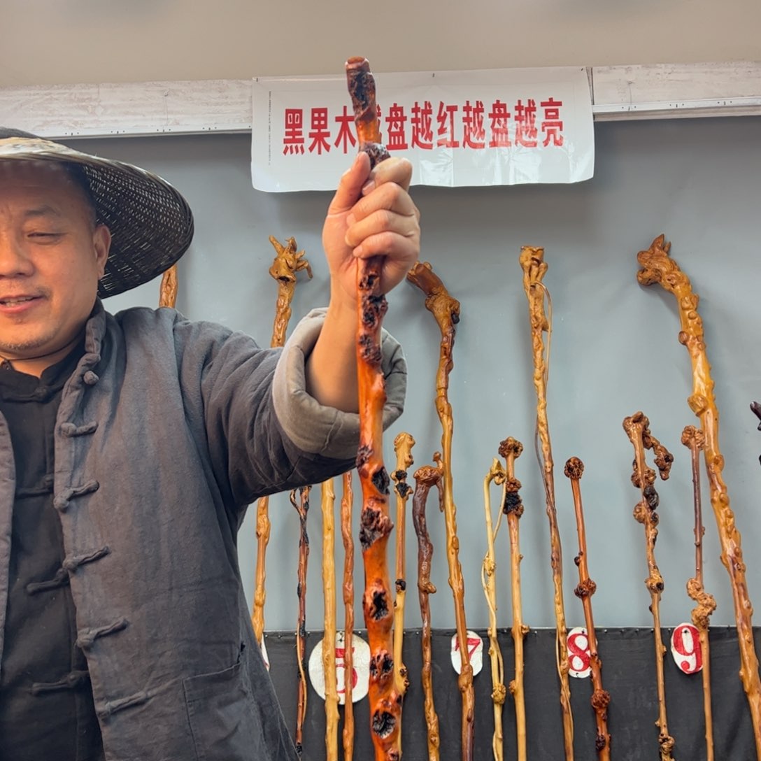 黑果木其他梦*黑果木951