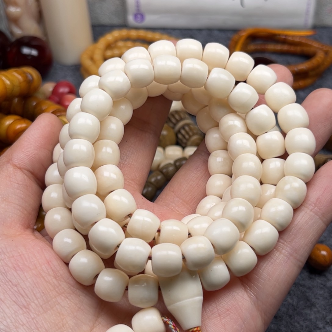 鹿骨其他人工养殖驼骨92