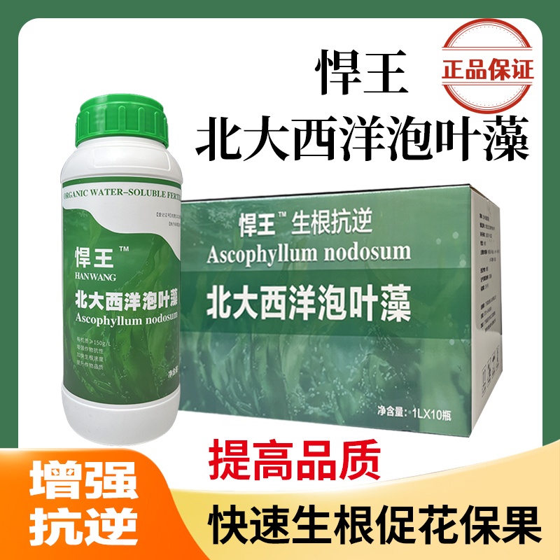 【北大西洋泡叶藻提取液】防冻抗逆加速生根促花稳果提高品质叶面肥