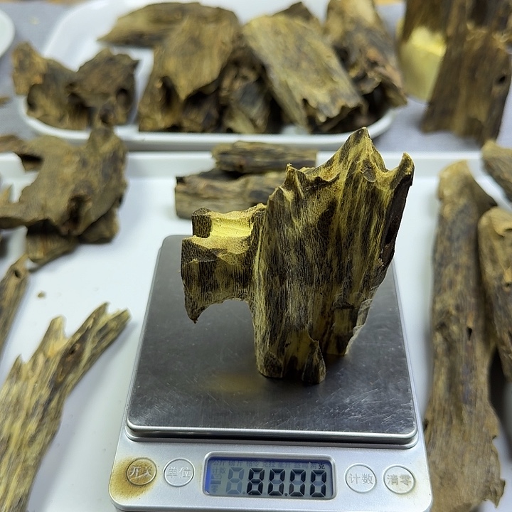 笑***笑香料乌身圆叶虫漏摆件80克