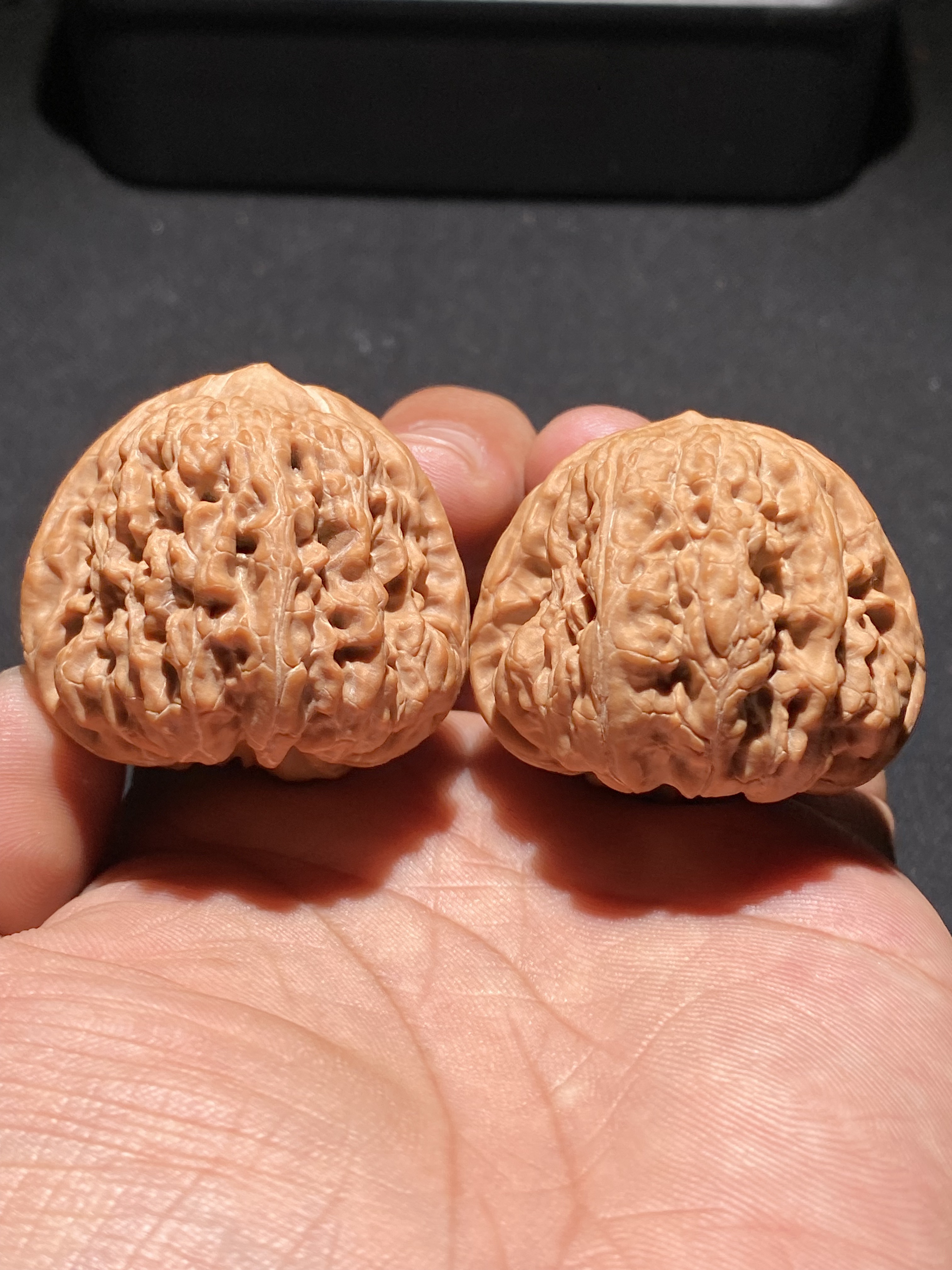 文玩核桃凹底狮子头蟾型全品边43肚42高38 A91226