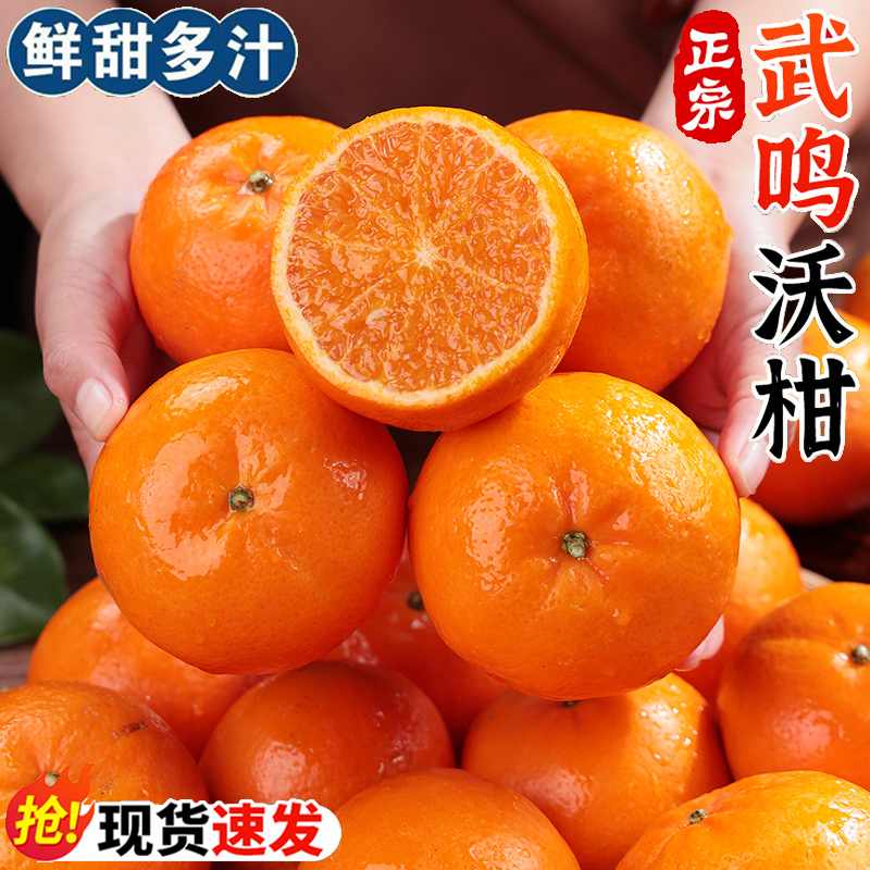 【产地直发】广西武鸣沃柑当季新鲜水果桔子非丑橘皮薄香甜多汁L3