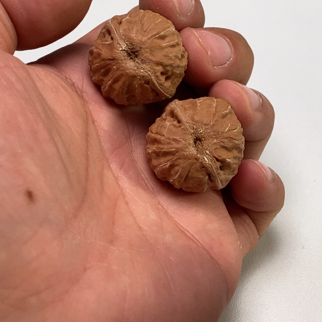 文玩核桃把件至尚孤品文玩直播