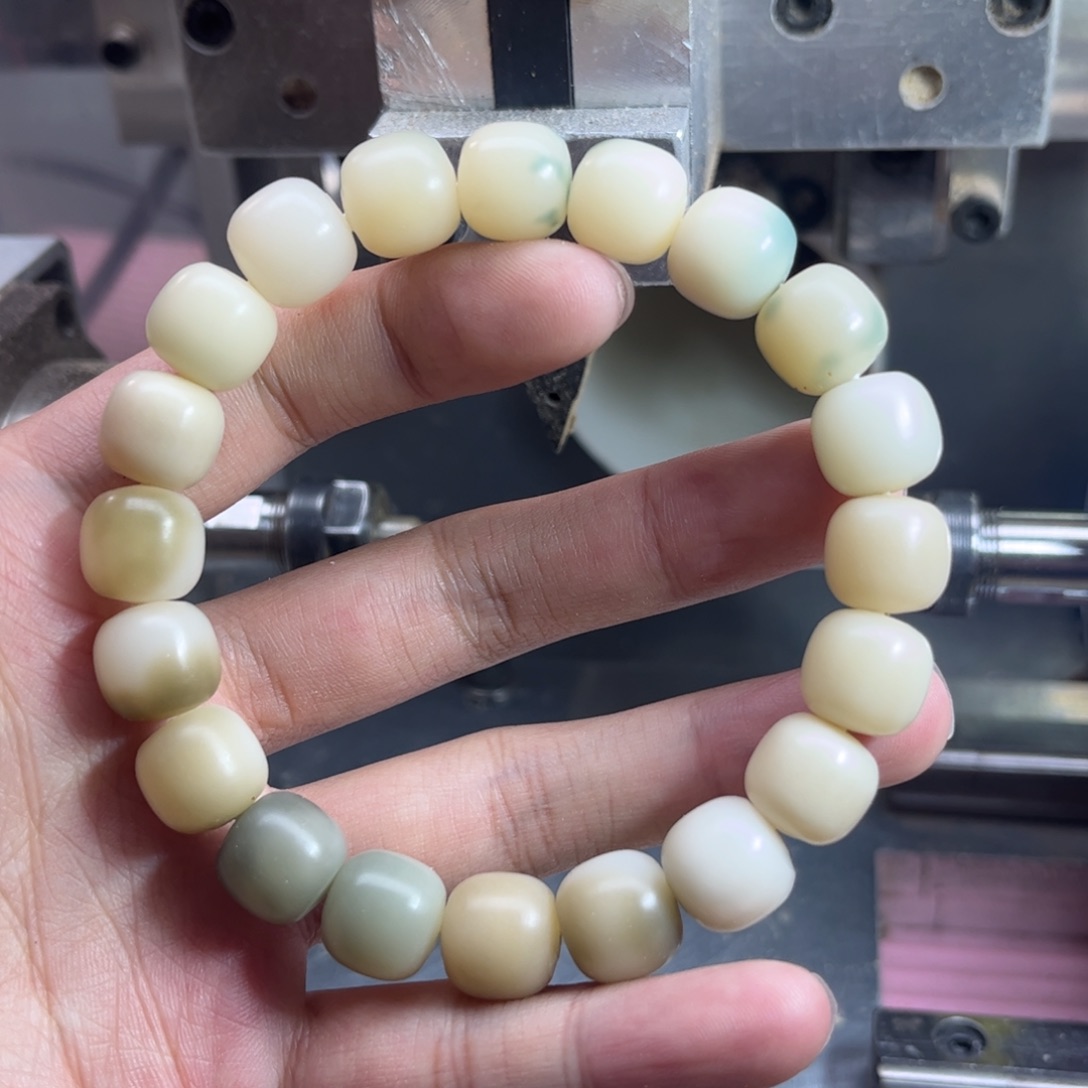 手串菩提根/象牙果