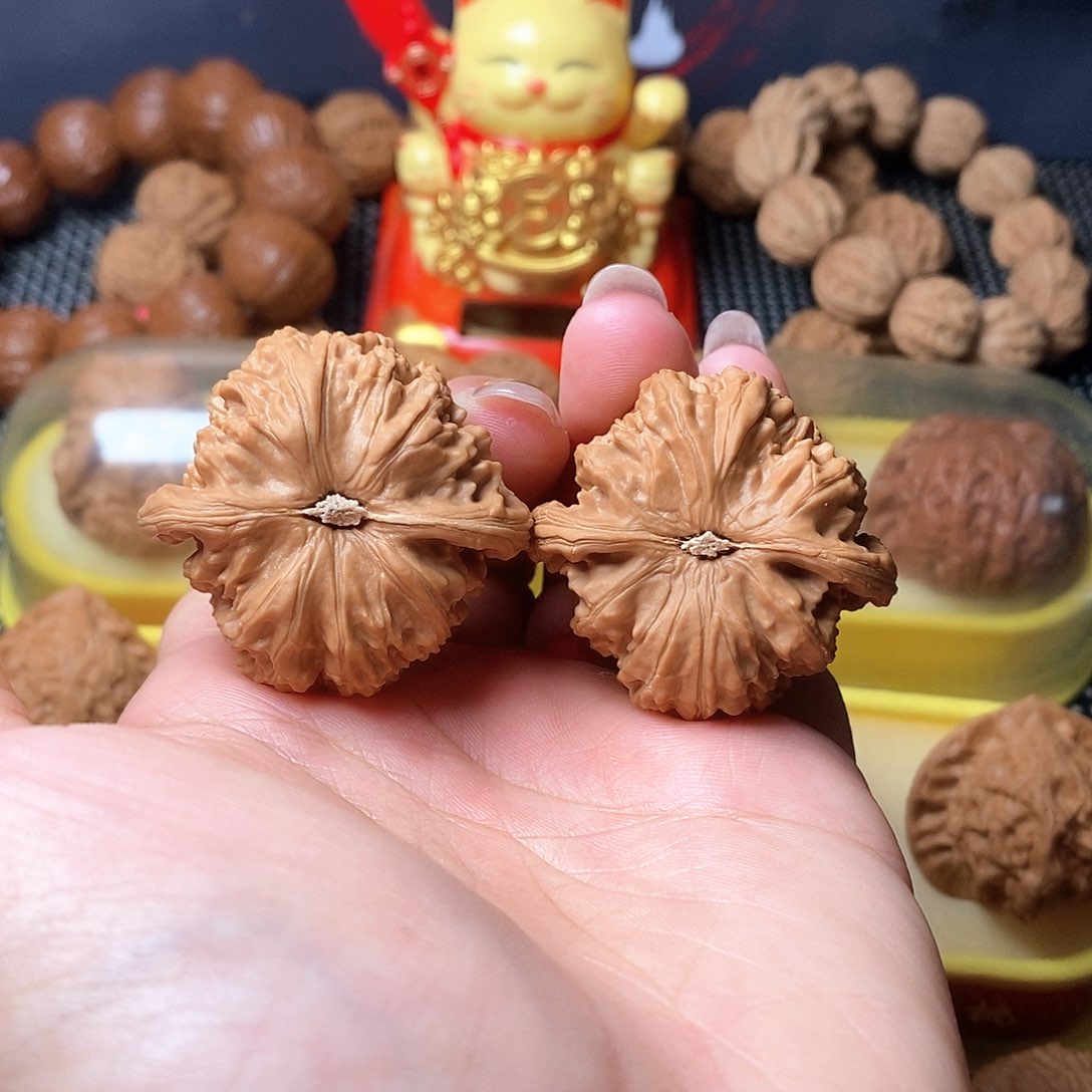 文玩核桃吊坠40尺白狮子全品