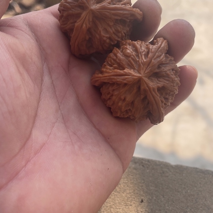 吊坠文玩核桃三棱三棱三棱三棱