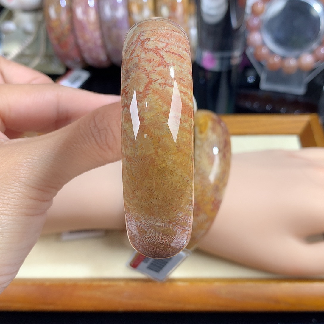 吊坠(赠链)未镶嵌硅化珊瑚（珊瑚玉）18号虫 纹57圈口
