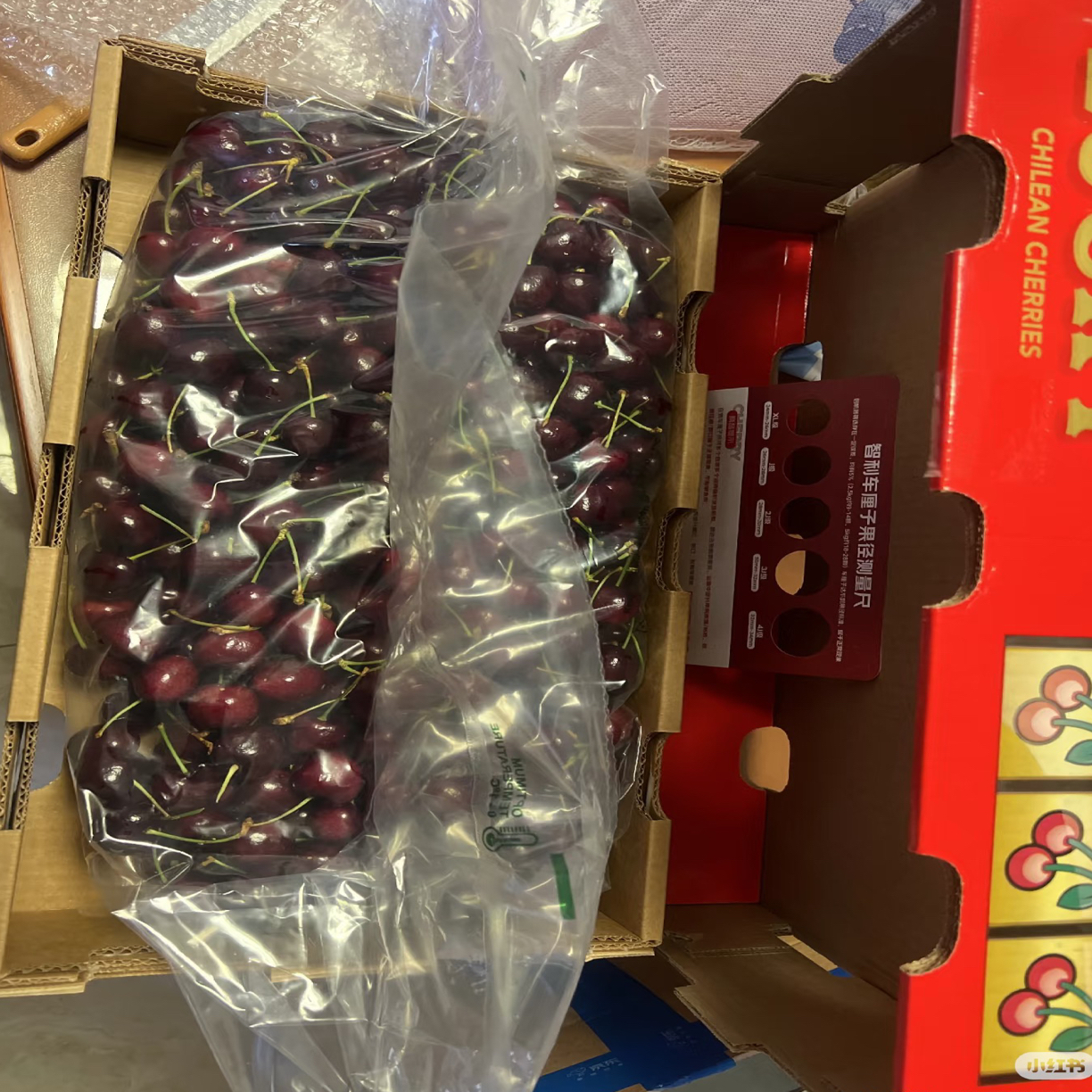 【双旦福利】净重10斤原包装 JDD加黑 空运智利进口车厘子 智利