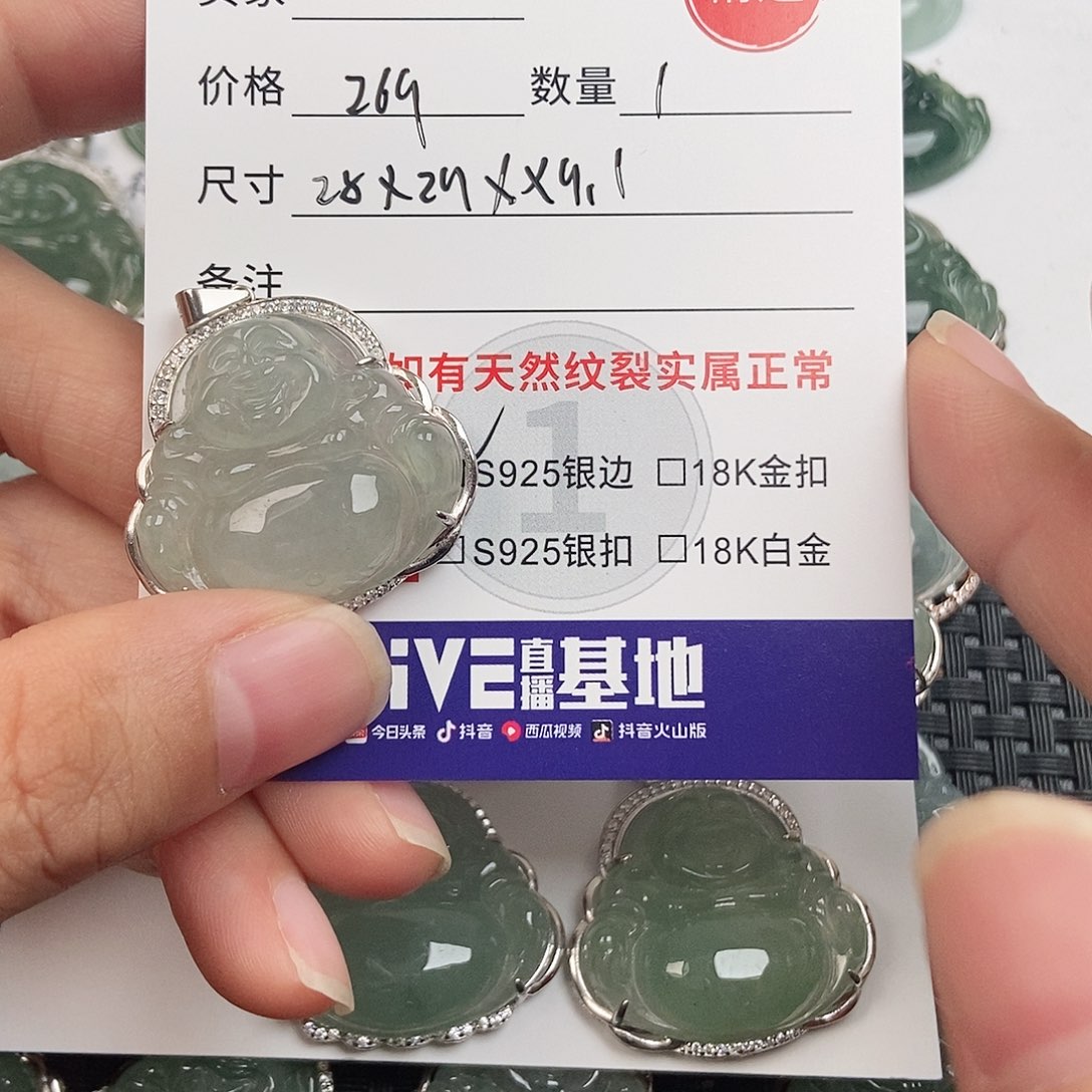 X***惜翡翠银S925镶嵌颈饰