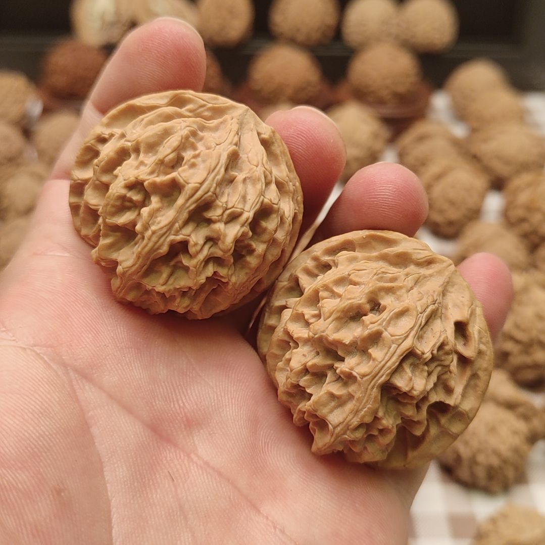 大叶紫檀（黑酸枝木类）蓟县山地苹果园手把件