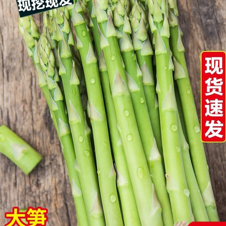 农家自种现采现发新鲜蔬菜芦笋绿芦笋春笋龙须菜竹笋芦笋鲜嫩