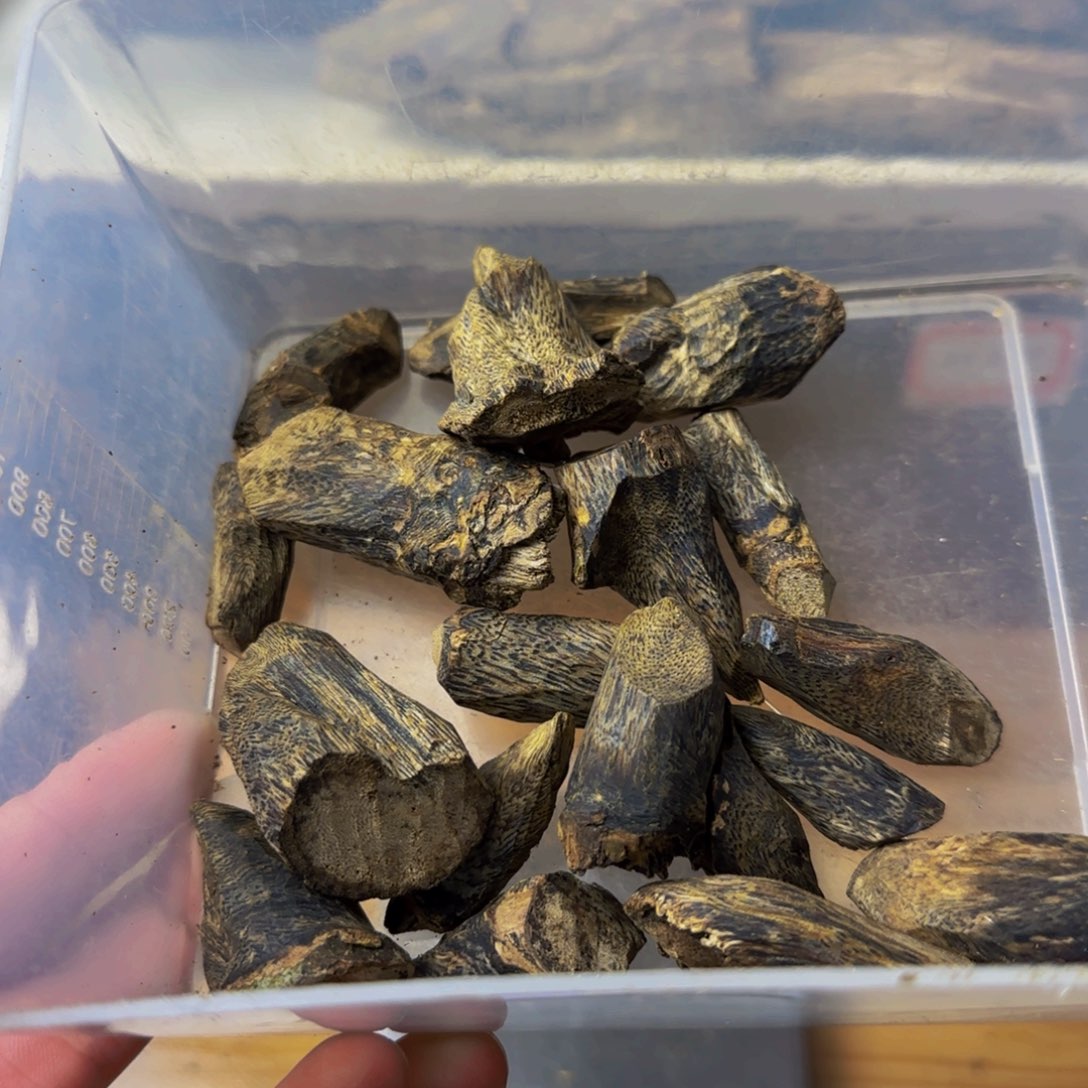 ꧁***꧂沉香沉香碎屑69克