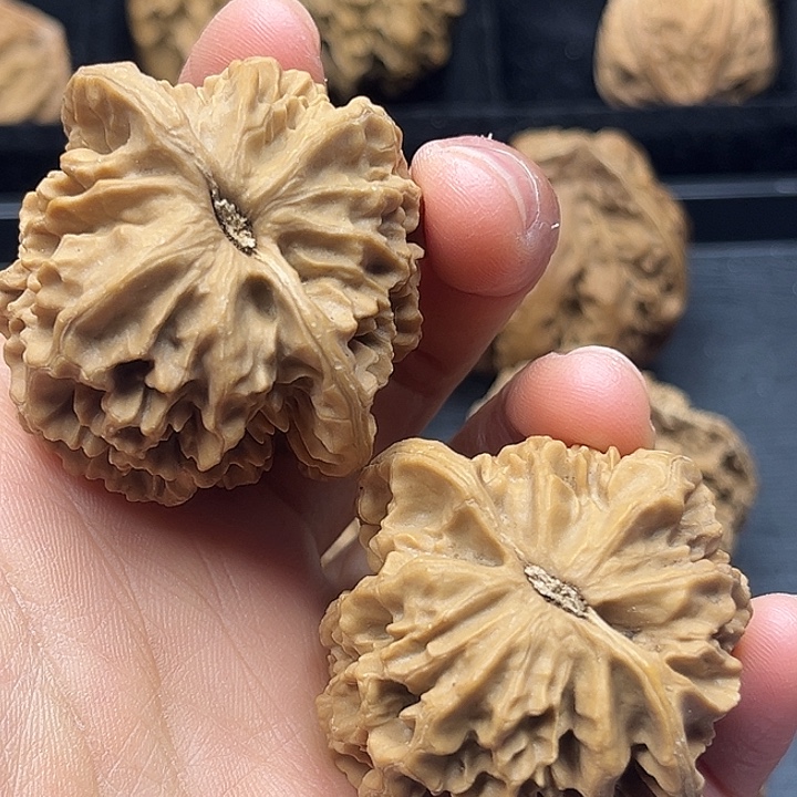 木质类秦岭突突突突突突