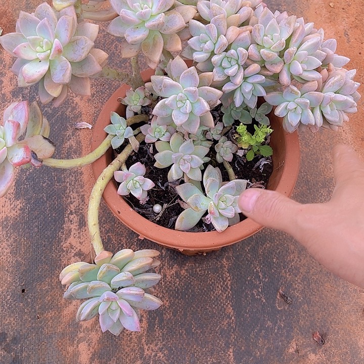 李***子一段爱情就是在一瞬间把一