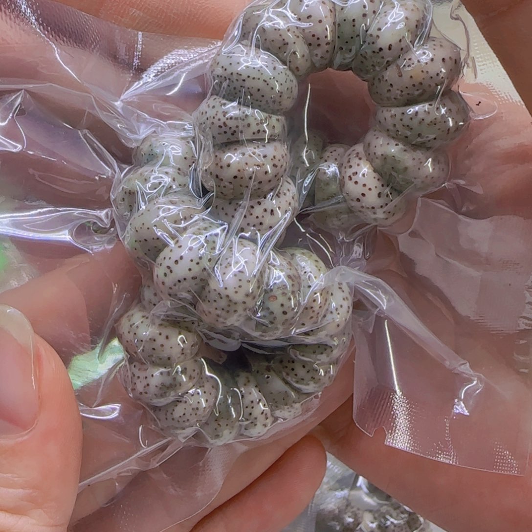 星月菩提手串10傲世石玉星月菩提1.3蒜瓣猪大肠单圈
