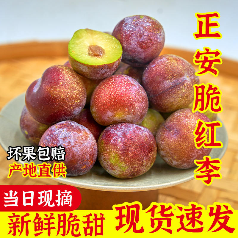 现摘现发贵州脆红脱骨李子新鲜当季生态高山脆甜多汁整箱产地直发
