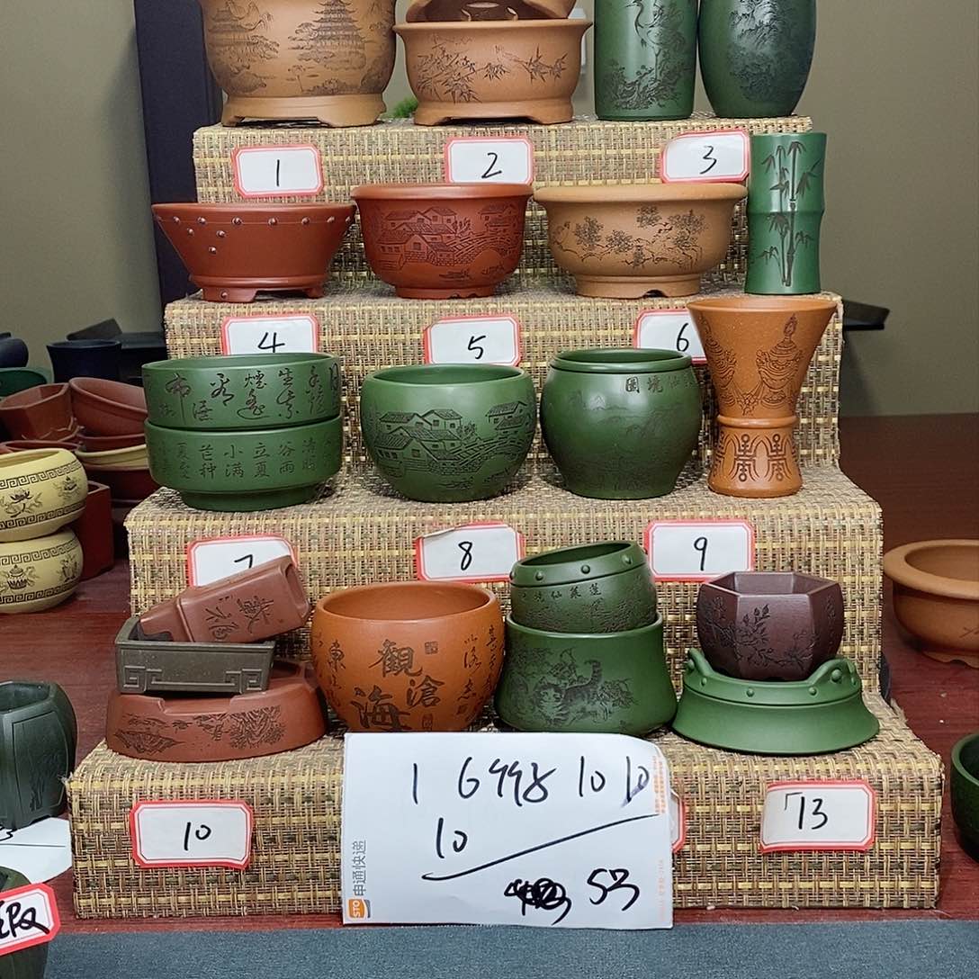 紫砂花盆花*我在等他