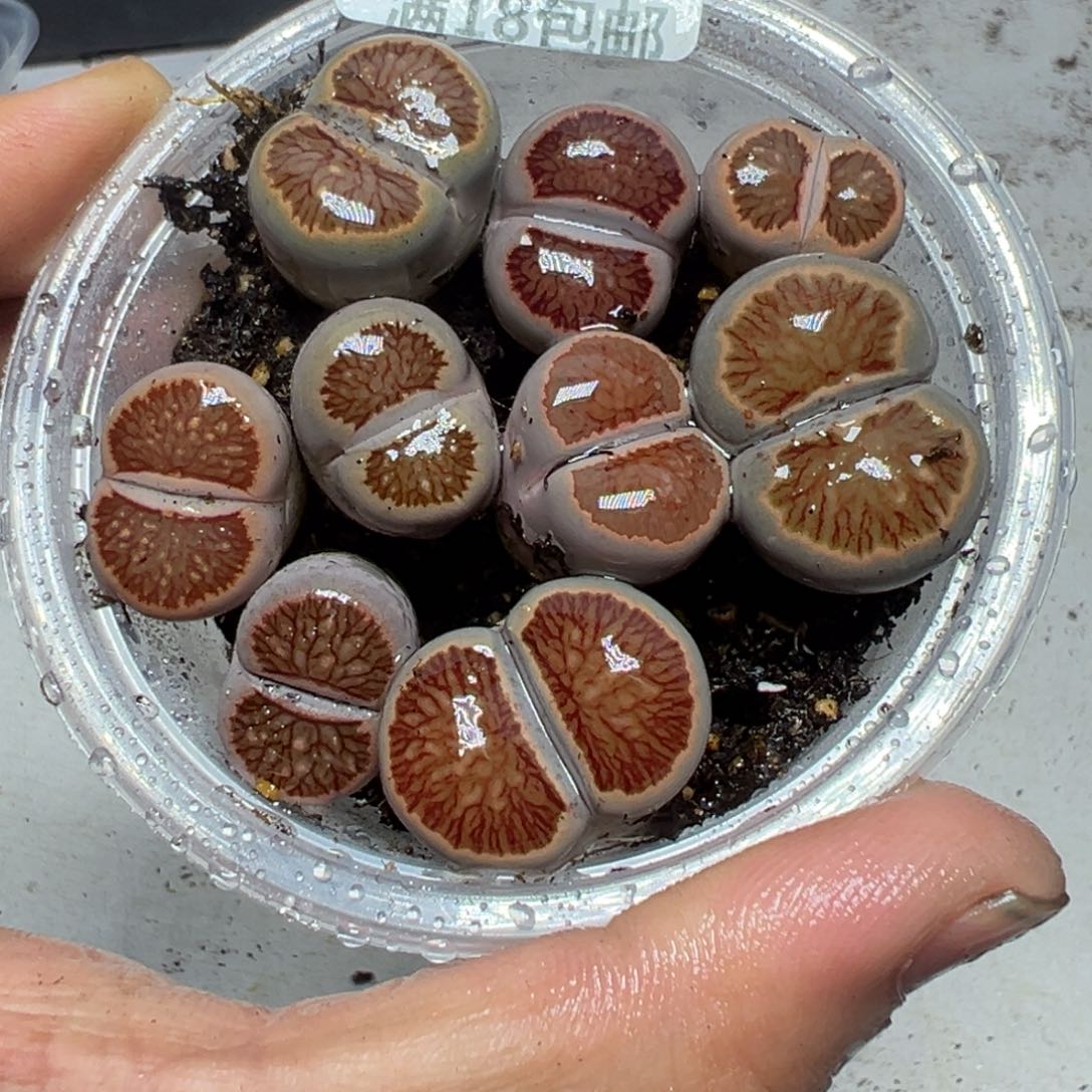 【闪购商品】 673。       