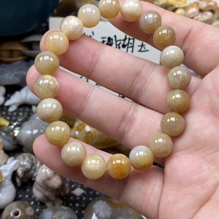 颈饰未镶嵌硅化珊瑚（珊瑚玉）