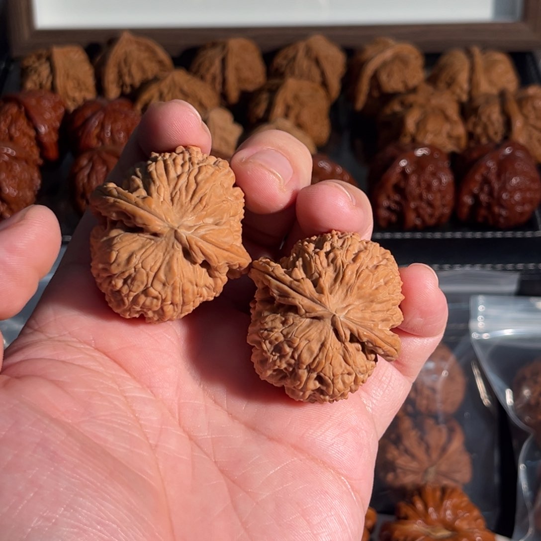 核桃手串/手链40全品闷白