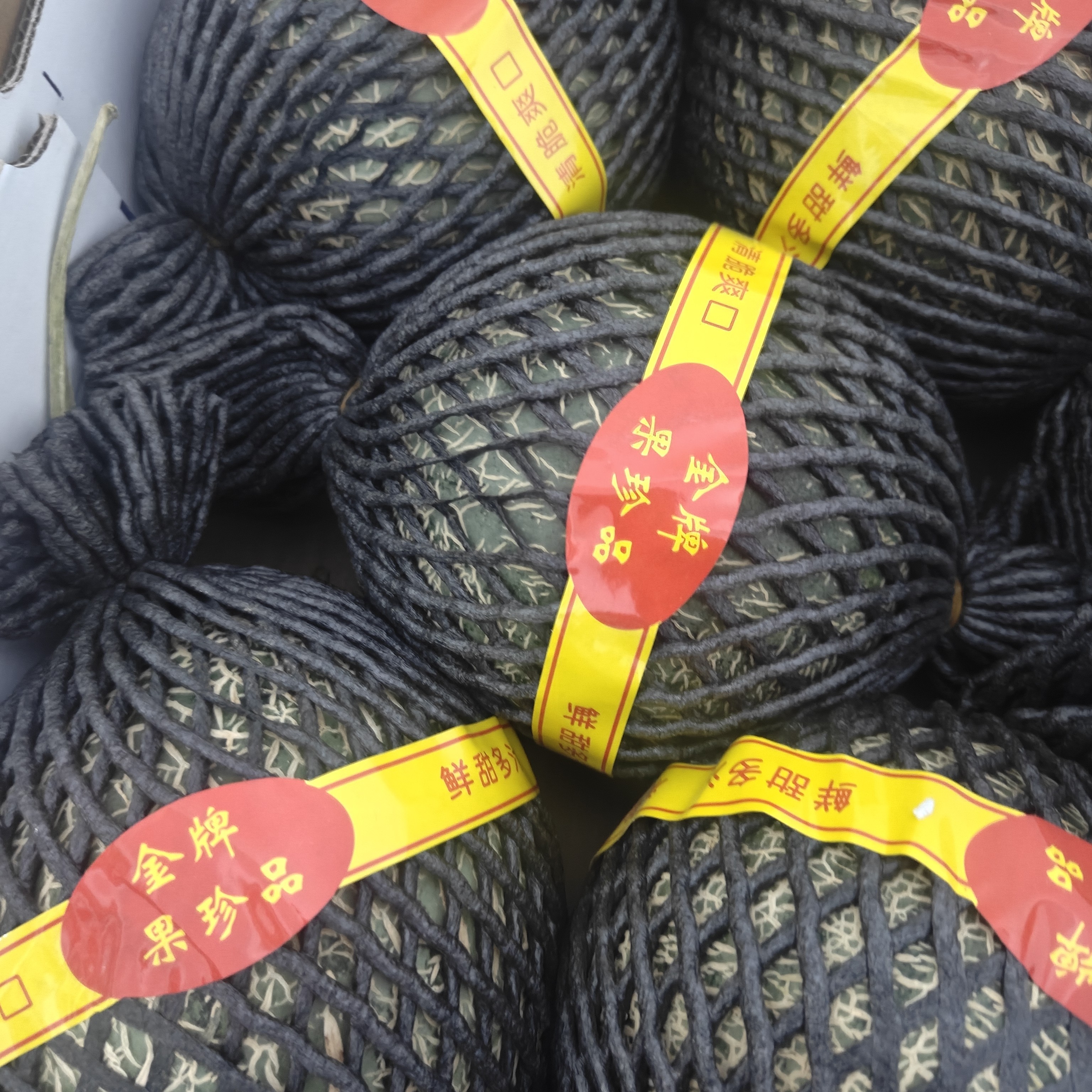 可口蜜哈密瓜（一个）