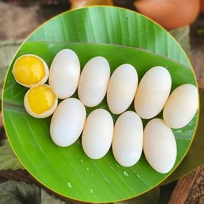 正品乌龟蛋草龟蛋营养滋补新鲜乌龟蛋食用美味健康草龟蛋孕妇儿童