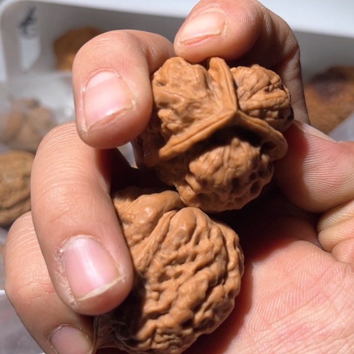 文玩核桃吊坠今**事滇西铁核桃35