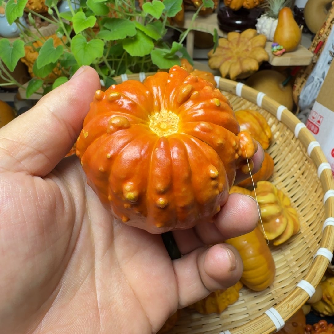 小*妖天然葫芦不退不换