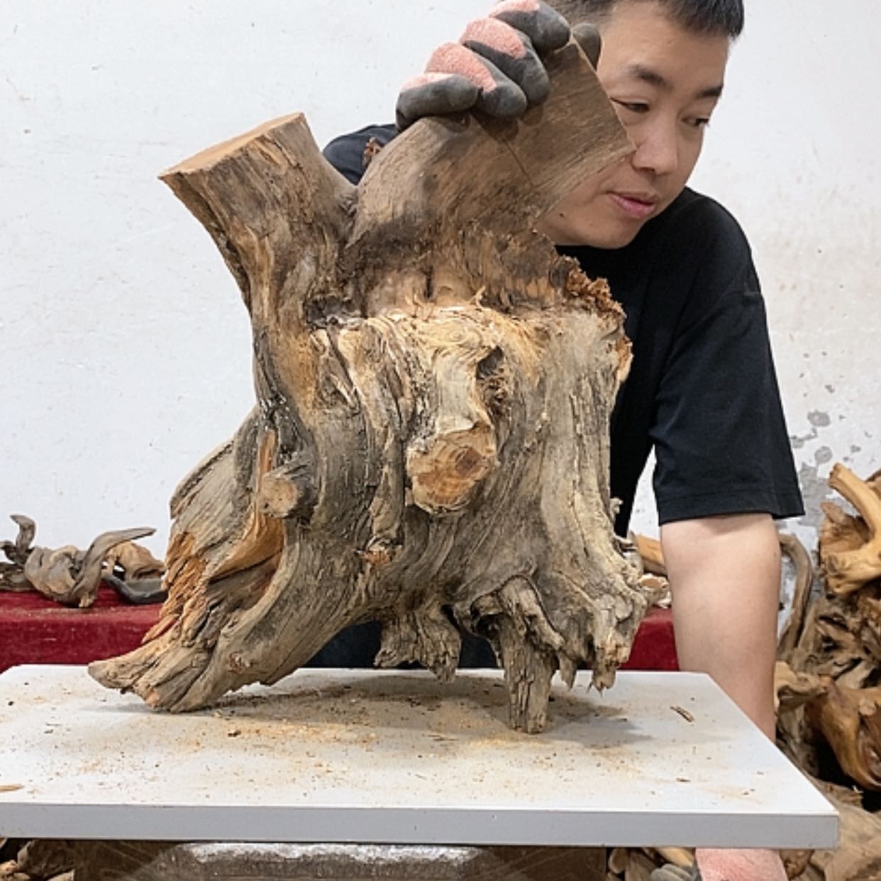 【闪购商品】柏木我我们都是好孩子