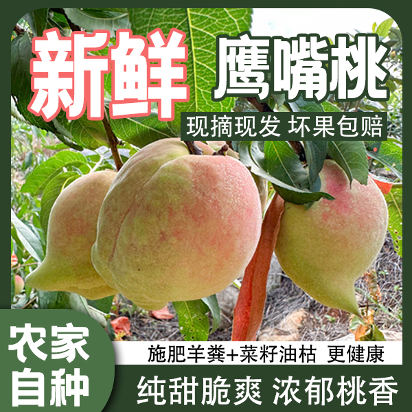 【自产自销】正宗鹰嘴桃新鲜甜脆云南蒙自脆桃大桃子水果硬脆甜现摘