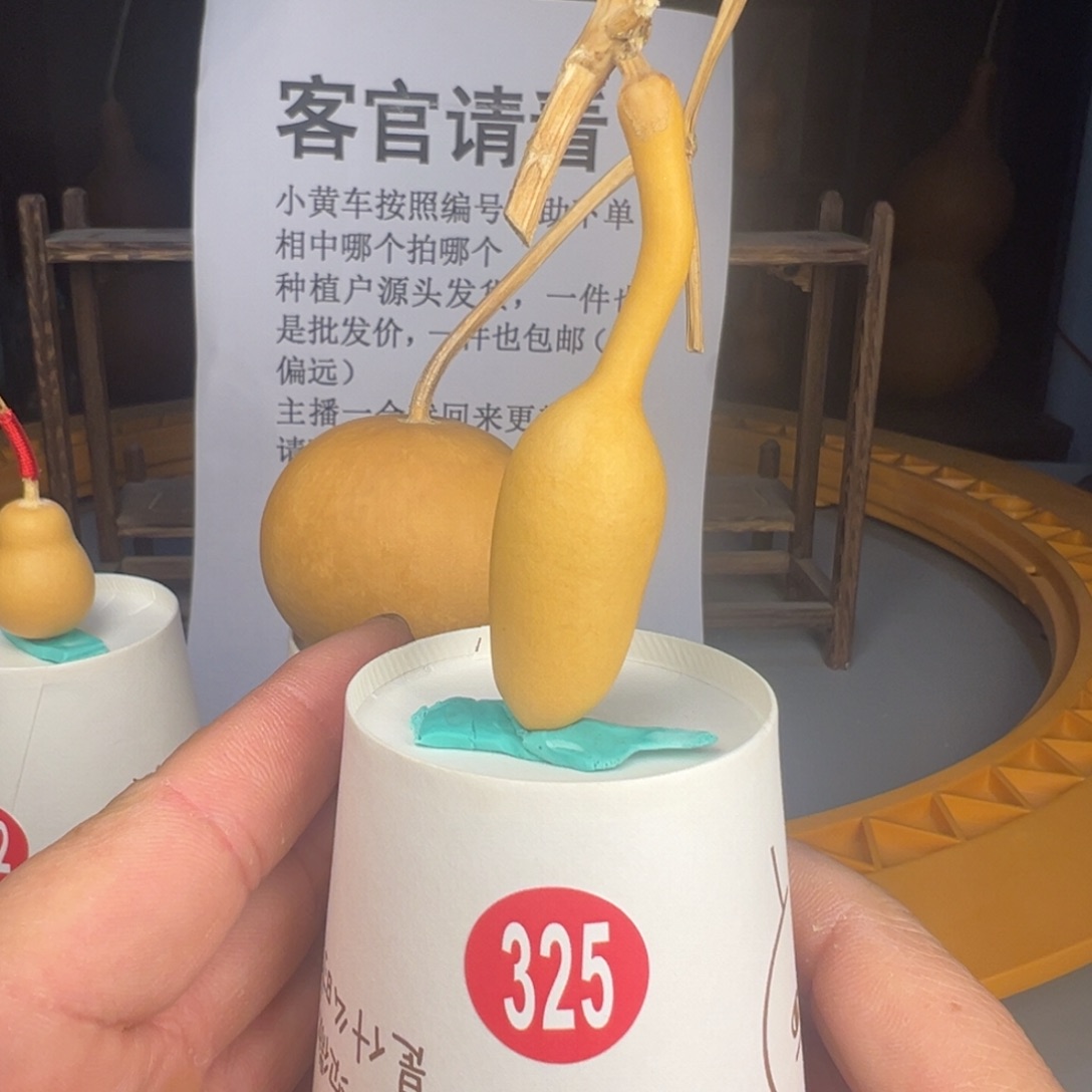 闪电购自助下单编号325