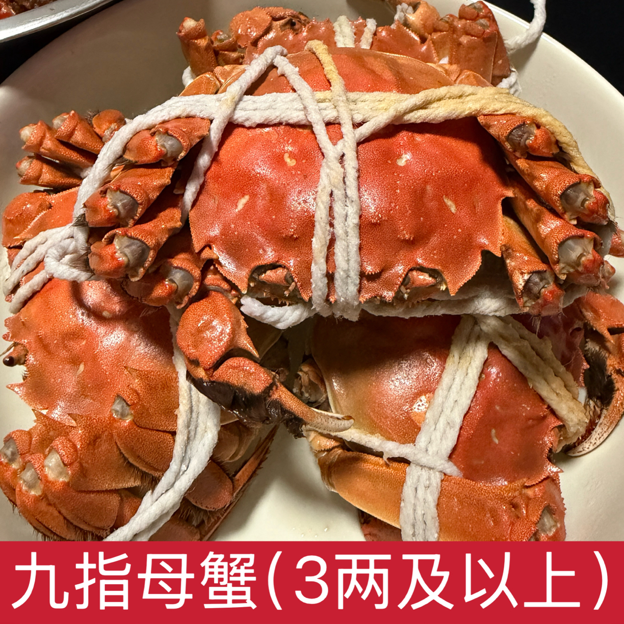 九指全母蟹（3两及以上）质量比残蟹好