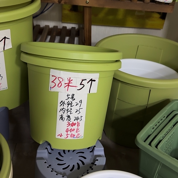 果绿色5号口径29高25无托5个