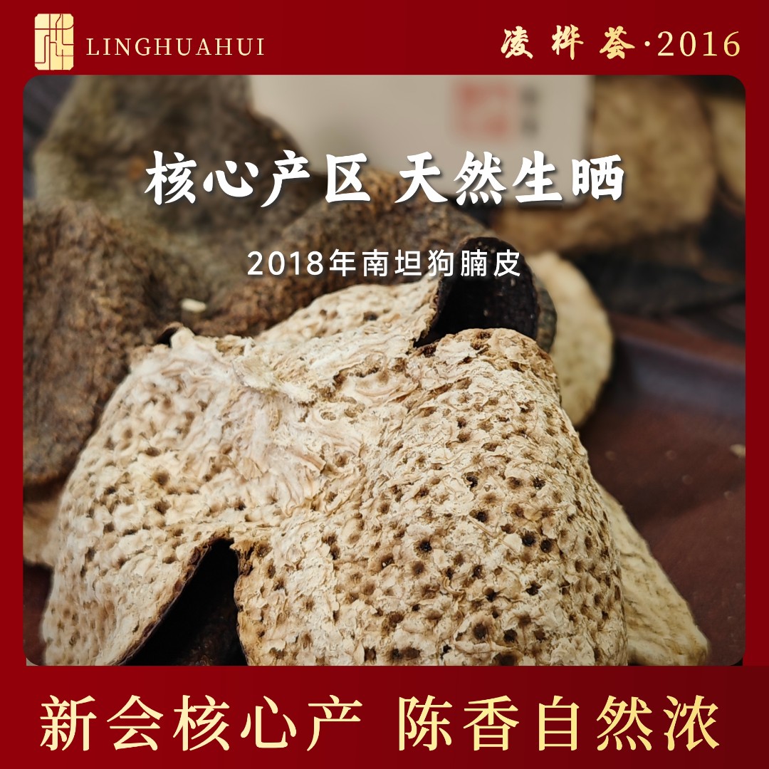 【断皮】2018年新会南坦新会陈皮冬后狗腩皮天然生晒干仓