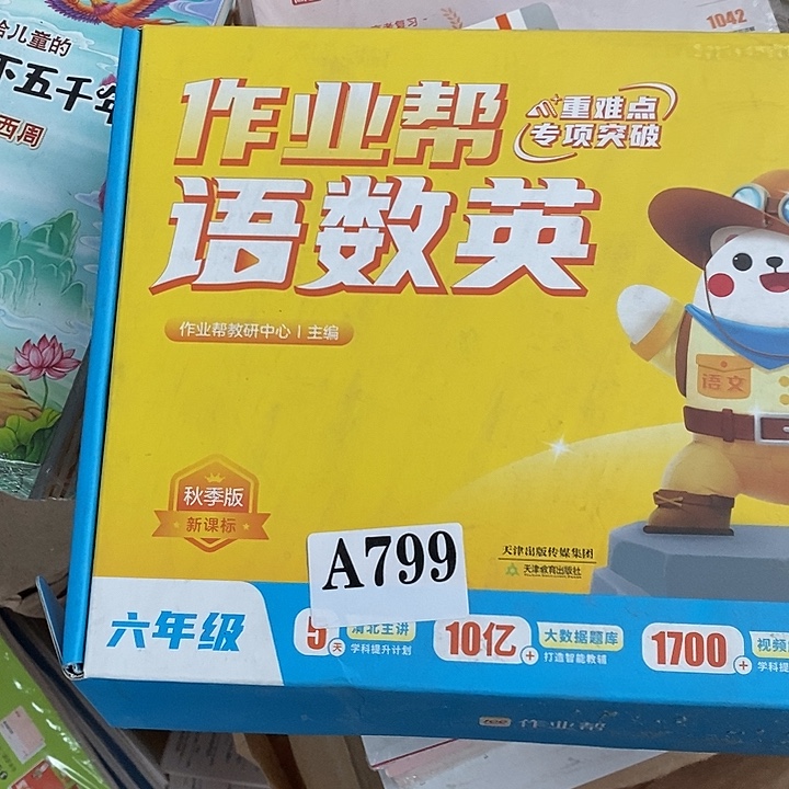 作业帮中难点专项突破语文 数学 英语 六年级