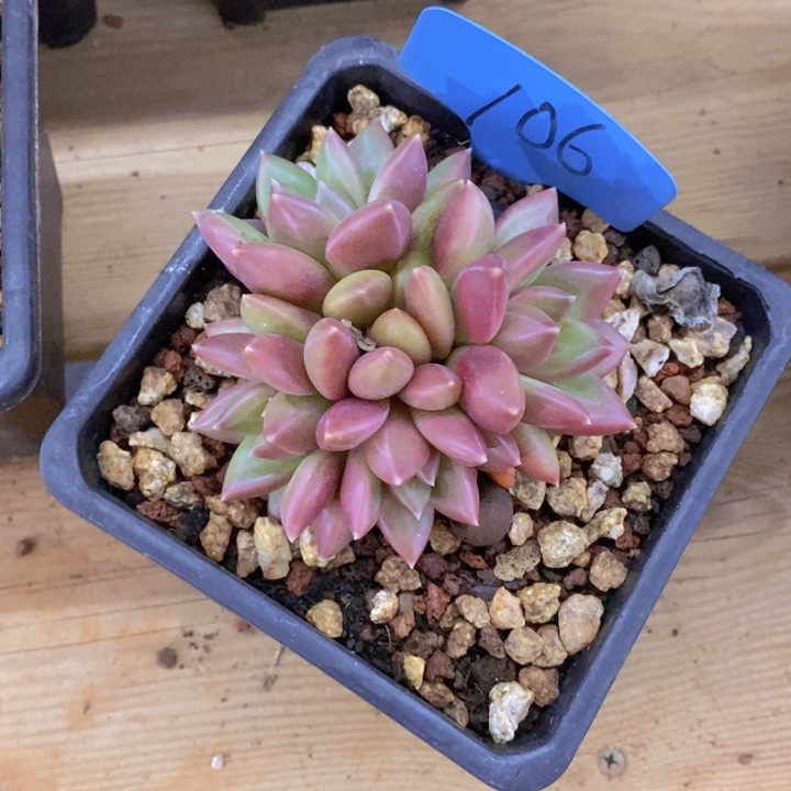 在家闲不住也可以轻松