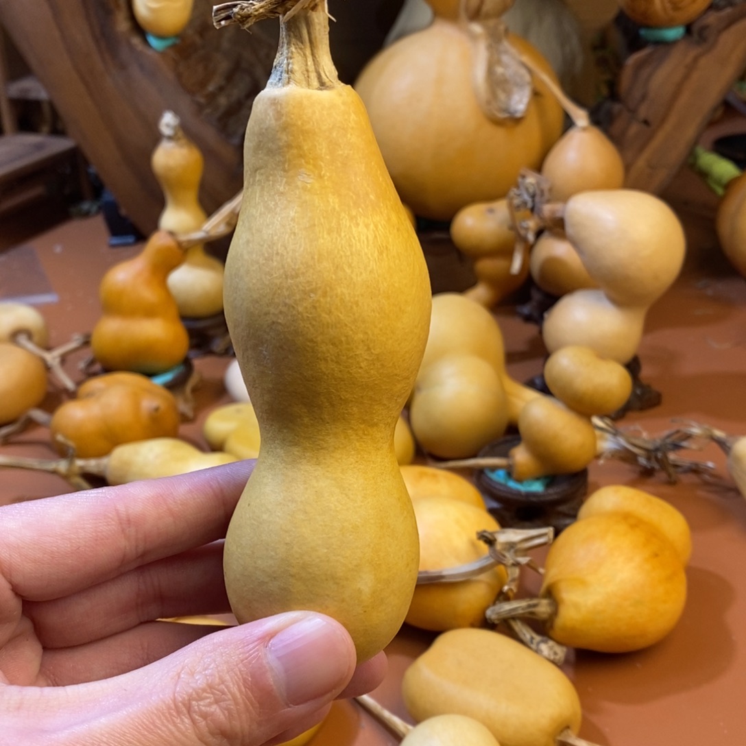 Ƽ***❁哥哥哥哥哥哥教练经理